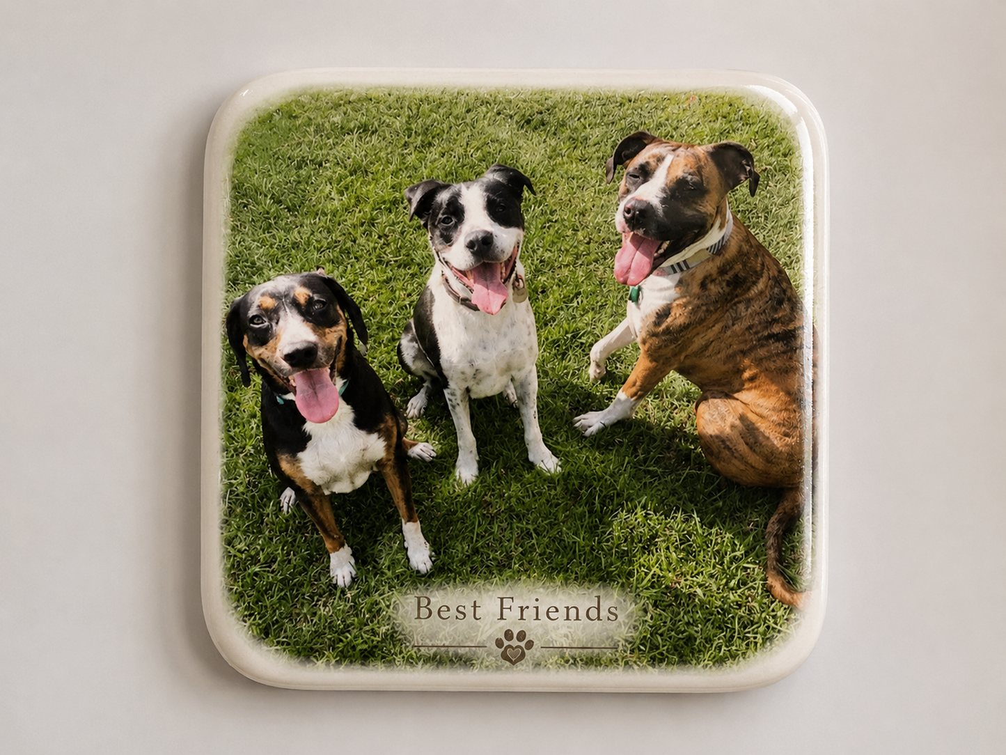 Custom Pet Magnet