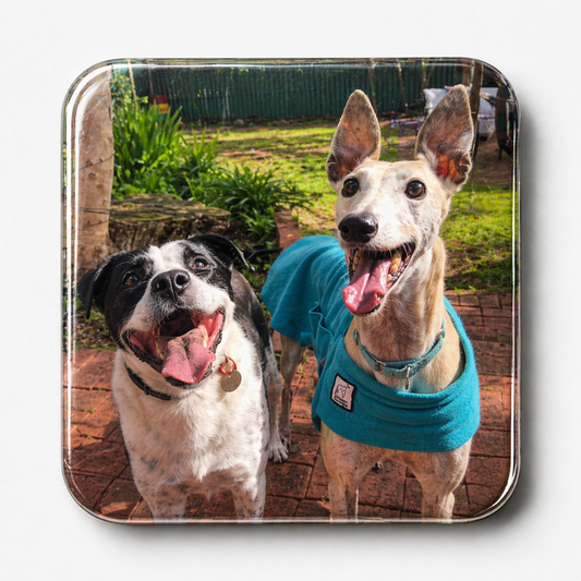 Custom Pet Magnet