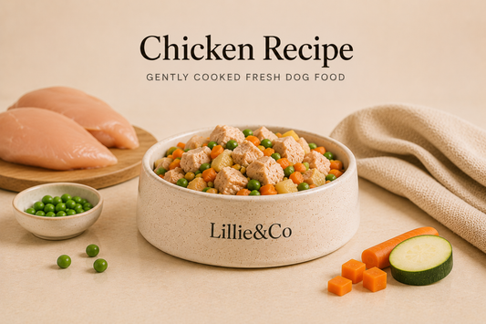 Fresh Dog Food – Chicken Recipe