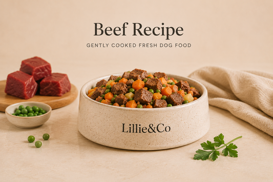 Fresh Dog Food – Beef Recipe