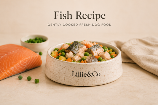 Fresh Dog Food – Fish Recipe